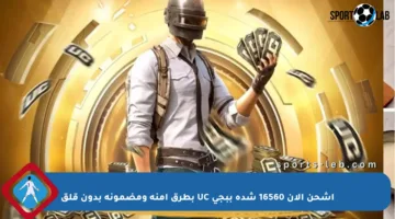 اشحن الآن 16560 شدة ببجي UC بطرق آمنة ومضمونة بدون قلق